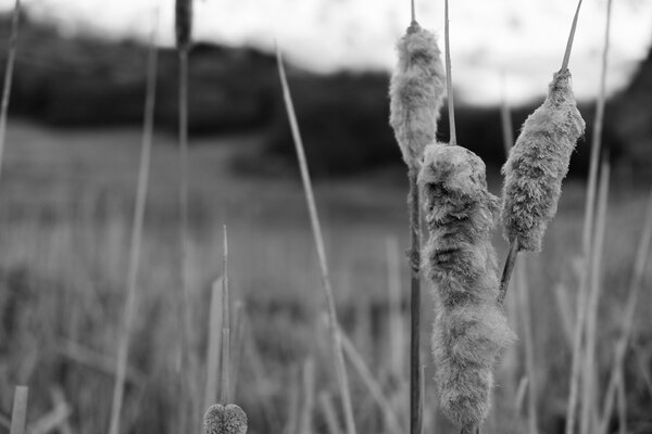 2013.02.16 South Valley Park