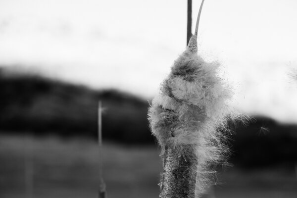 2013.02.16 South Valley Park