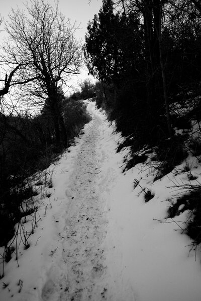 2013.02.16 South Valley Park