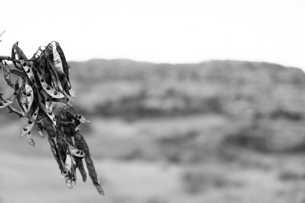 2013.02.16 South Valley Park