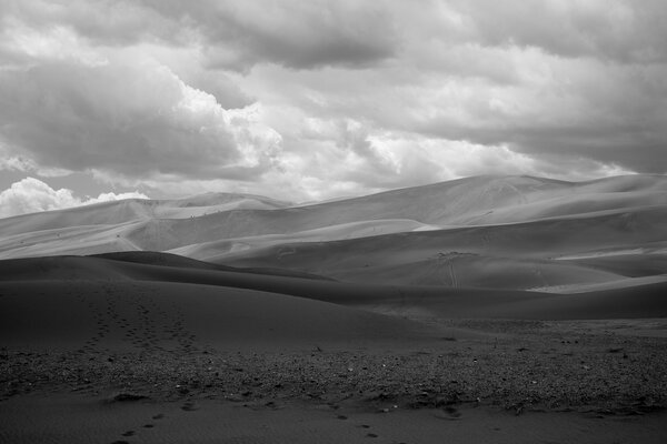 2020.06 Sand Dunes