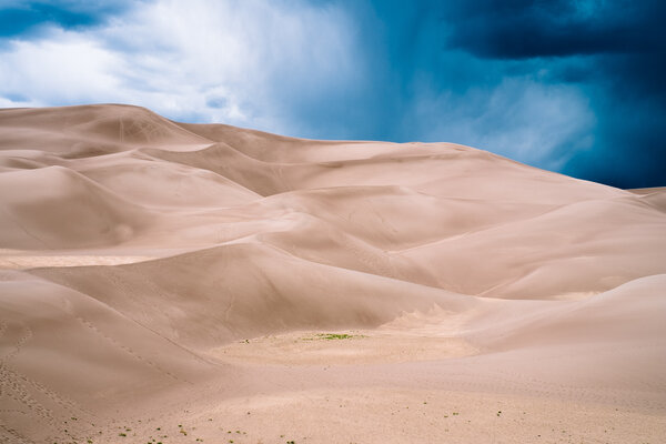 2020.06 Sand Dunes