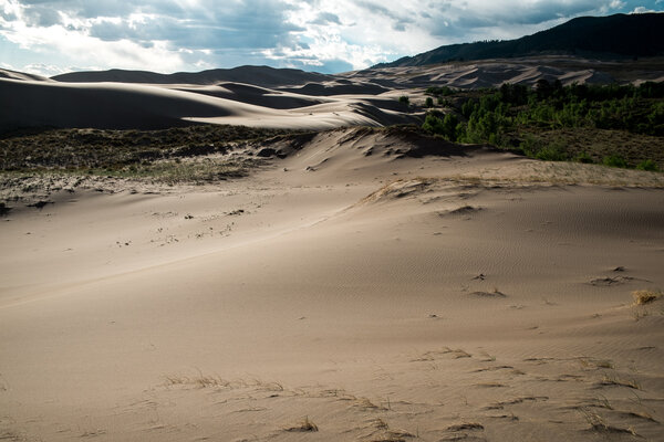 2020.06 Sand Dunes