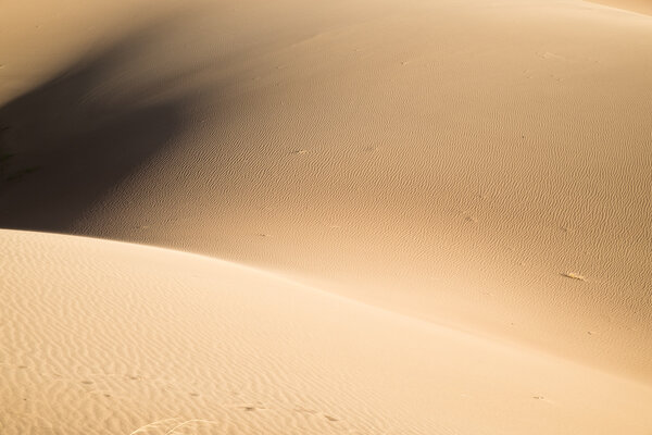 2020.06 Sand Dunes