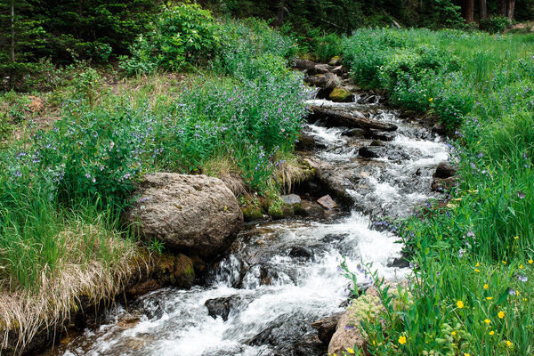 2013.07.05 Rocky Mountain National Park