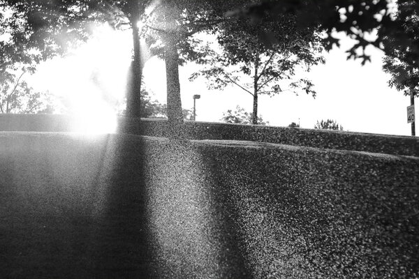 2013.07 South Denver Walks