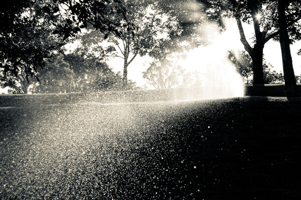 2013.07 South Denver Walks