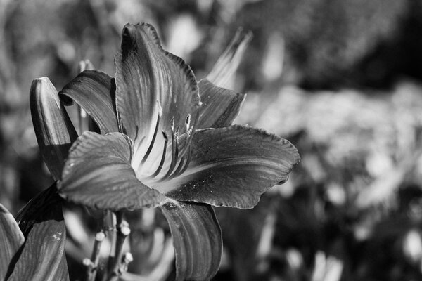 2013.07 South Denver Walks