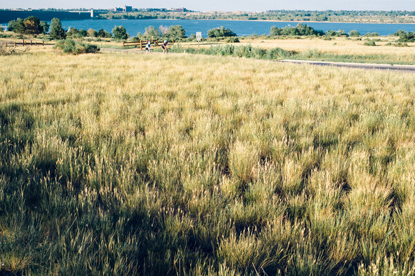 2013.07 South Denver Walks