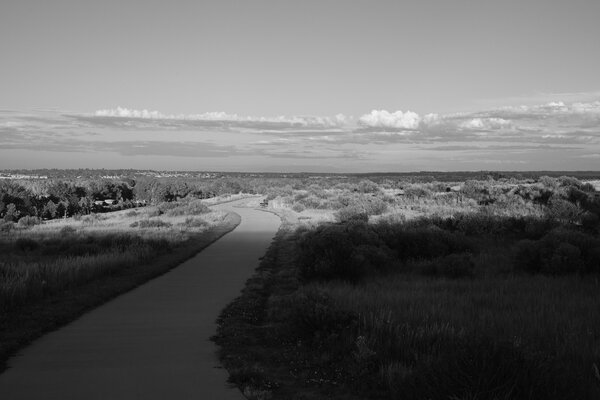 2013.07 South Denver Walks