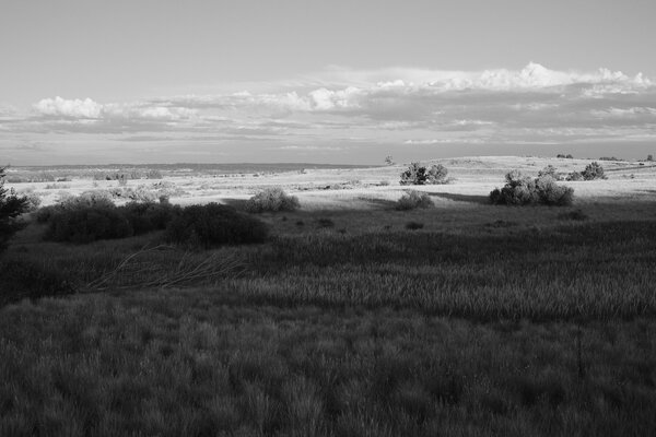 2013.07 South Denver Walks