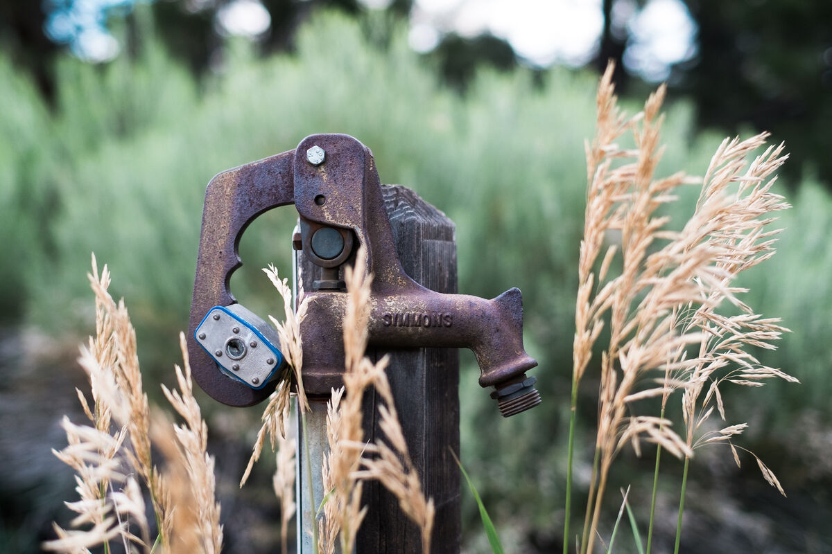 2013.07 South Denver Walks