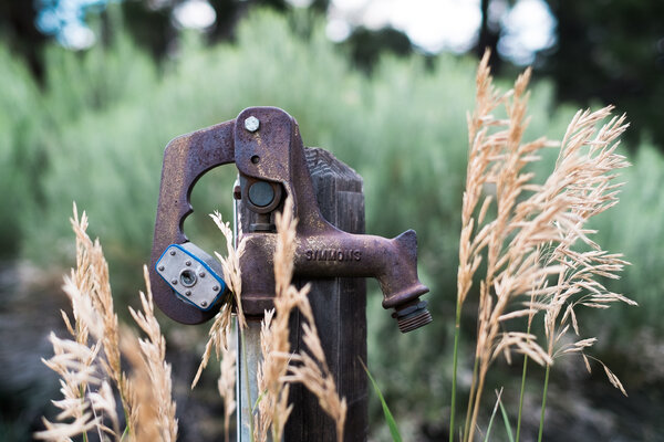 2013.07 South Denver Walks