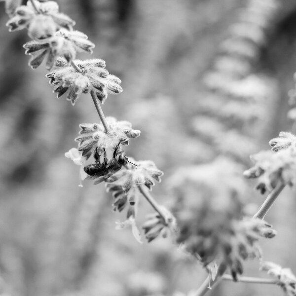 2013.07 South Denver Walks