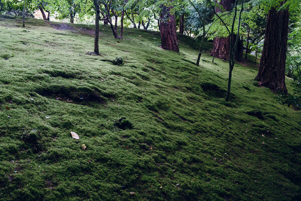 2013.09.22 Portland Japanese Garden