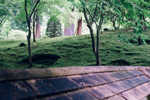 2013.09.22 Portland Japanese Garden