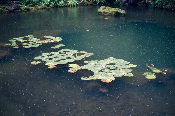 2013.09.22 Portland Japanese Garden