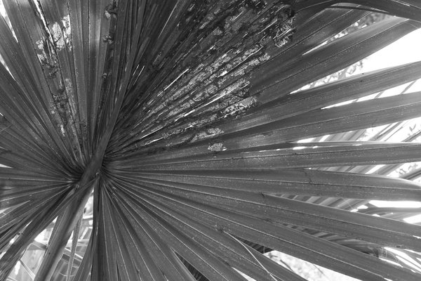 2013.09 South Carolina