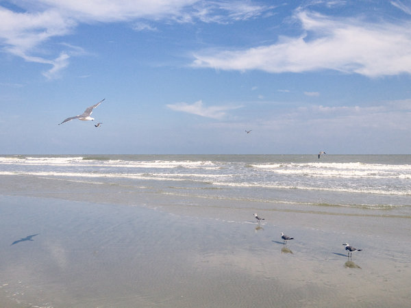 2013.09 South Carolina