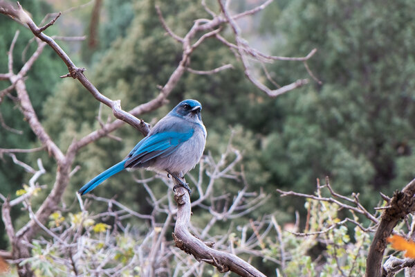 2013.10.19 Morning at the Garden of the Gods
