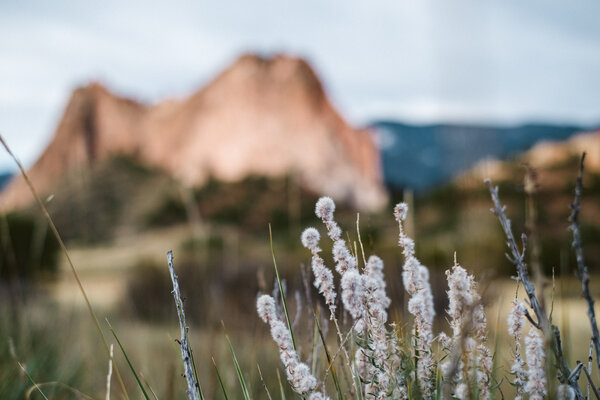 2013.10.19 Morning at the Garden of the Gods