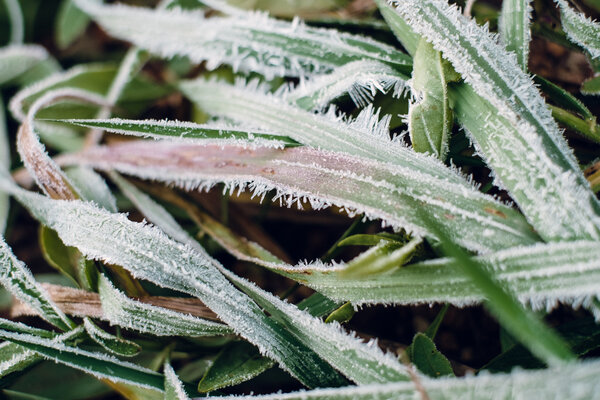 2013.10.19 Morning at the Garden of the Gods