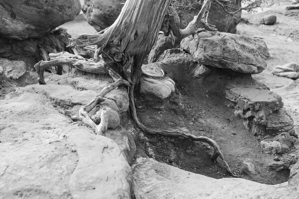 2013.10.19 Morning at the Garden of the Gods