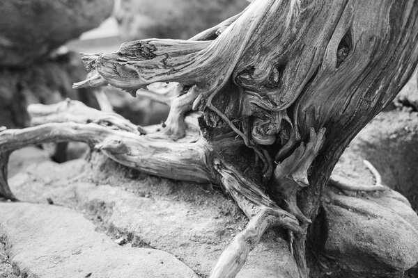 2013.10.19 Morning at the Garden of the Gods