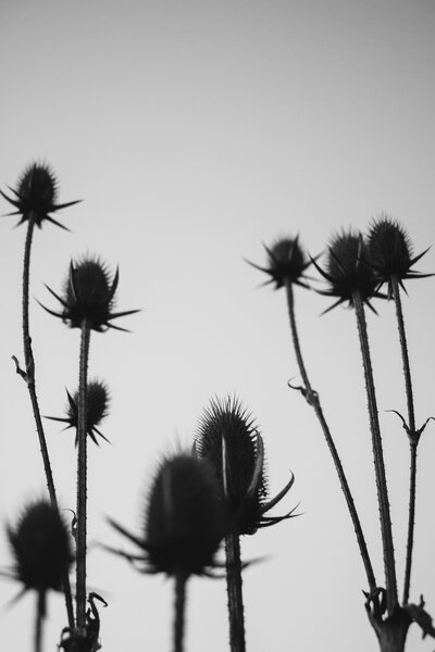 2013.10 Tagtober 2013