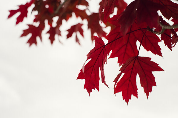 2013.10 Tagtober 2013