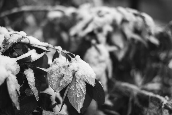 2013.10 Tagtober 2013