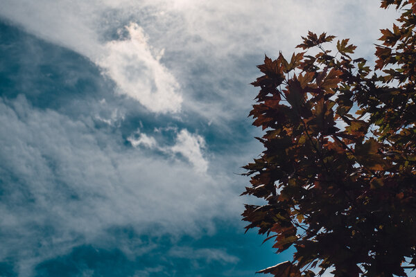 2013.10 Tagtober 2013