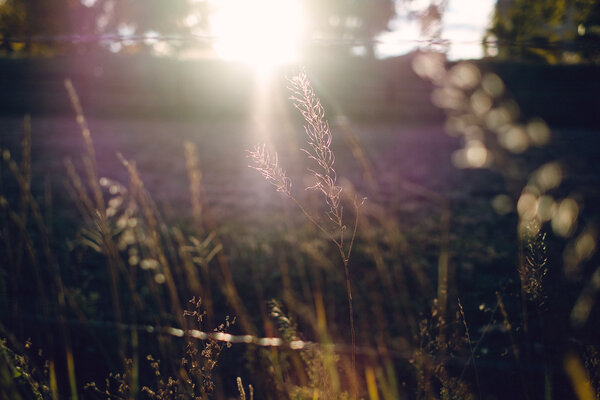 2013.10 Tagtober 2013