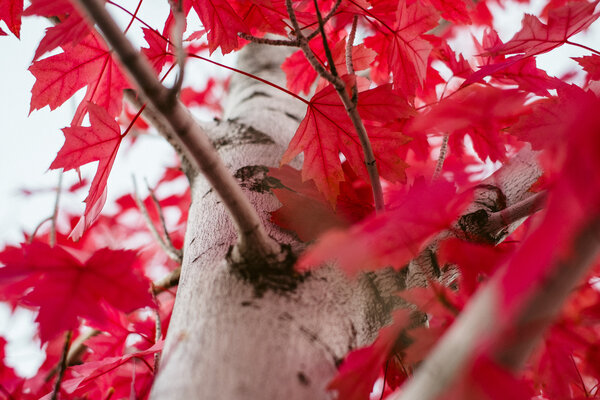 2013.10 Tagtober 2013