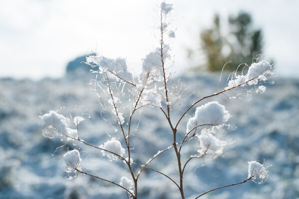 2013.10 Tagtober 2013