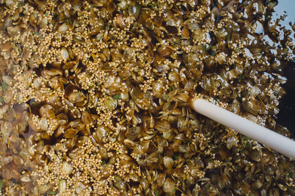 2013.10 Tagtober 2013