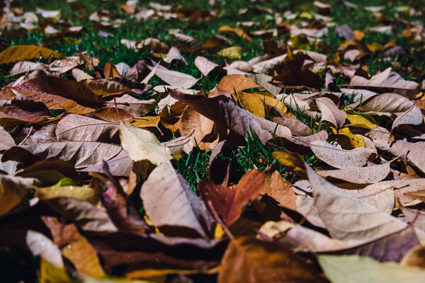 2013.10 Tagtober 2013