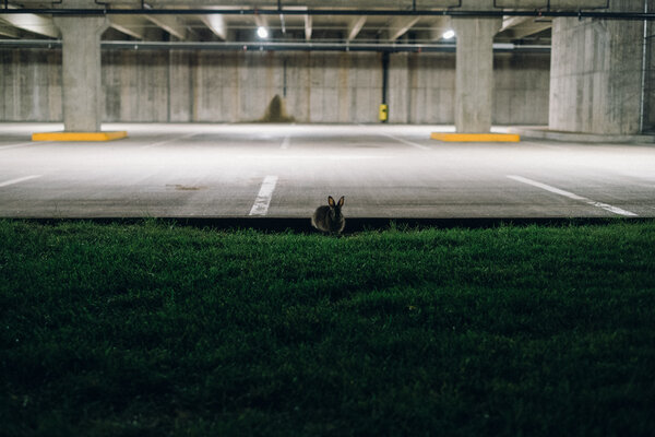 2013.10 Tagtober 2013