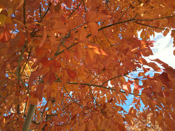 2013.10 Tagtober 2013