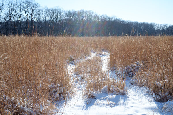 2013.12.23 River Valley Snow