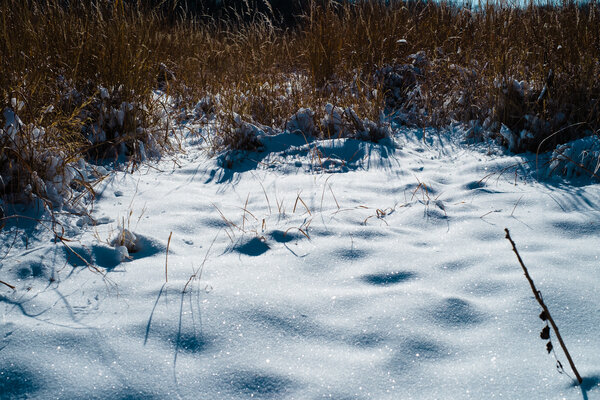 2013.12.23 River Valley Snow