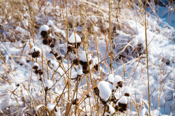 2013.12.23 River Valley Snow