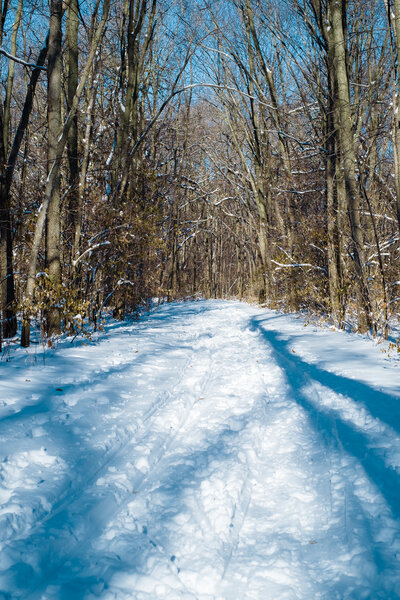 2013.12.23 River Valley Snow