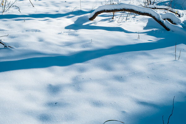 2013.12.23 River Valley Snow
