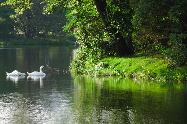 2014.08.08 Iowa State Campus
