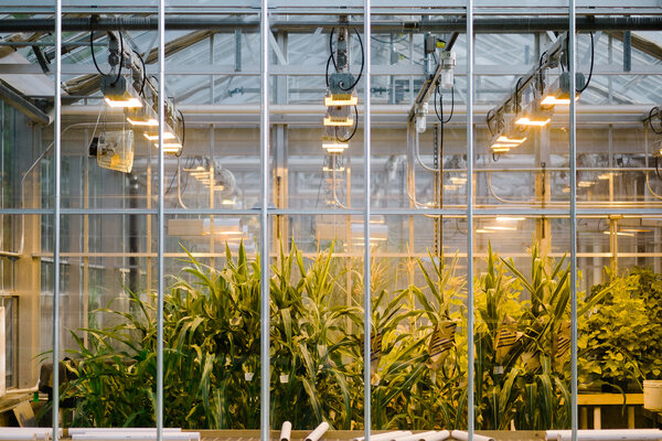 2014.08.08 Iowa State Campus