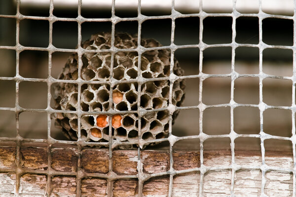2014.08.08 Iowa State Campus