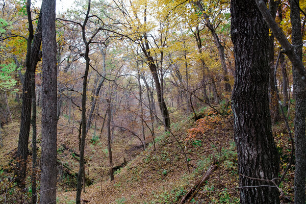 2014.10.17 Ledges State Park