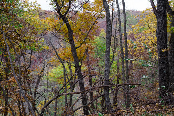 2014.10.17 Ledges State Park