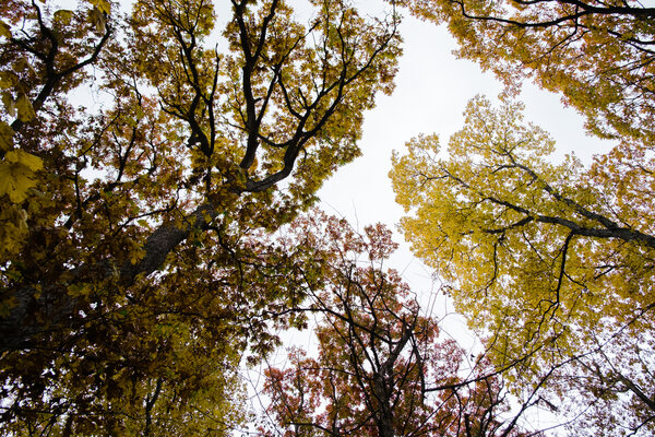 2014.10.17 Ledges State Park